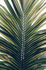 masaj salonu masoz kadıköy istanbul anadolu masaj salonlari