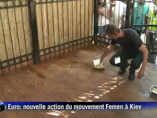 Euro-2012: nouvelle action des militantes du mouvement Femen