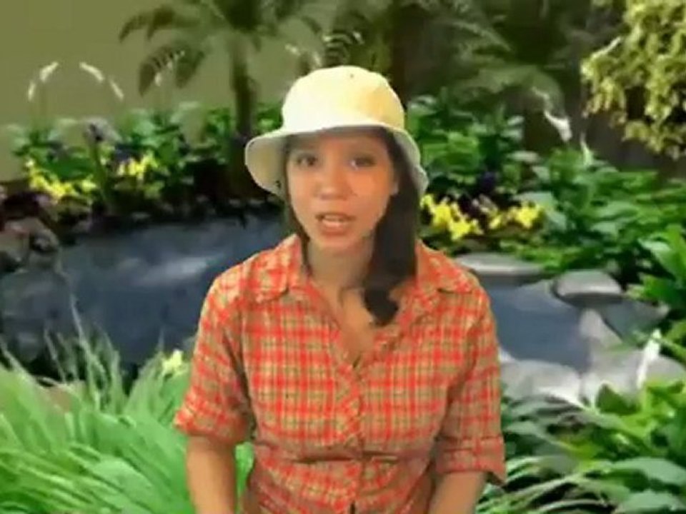 Hearth Cricket Verdigris, Traditional Sign of Good Luck Cricket Review