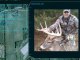 DSI: A Spot-and-Stalk Whitetail Hunt