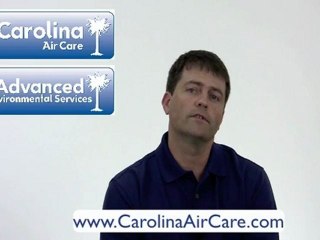 Mold Removal Spartanburg SC, What is Mold?
