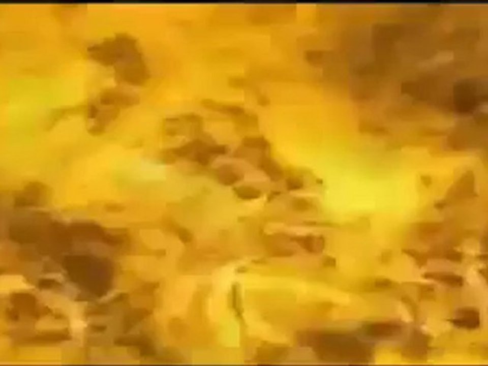 LIQUID DANCE