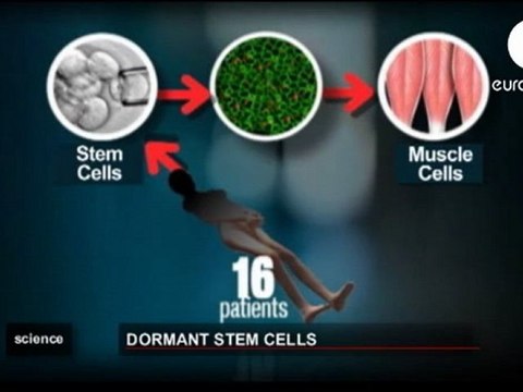 Celulas madre: Vida despues de la muerte