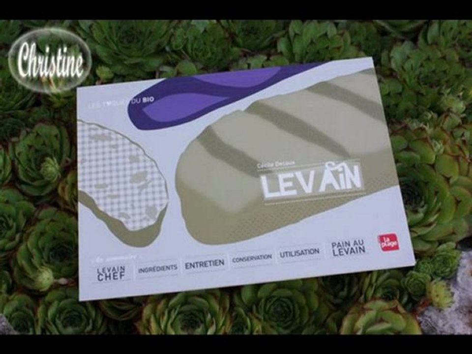 Cécile Decaux "le levain"