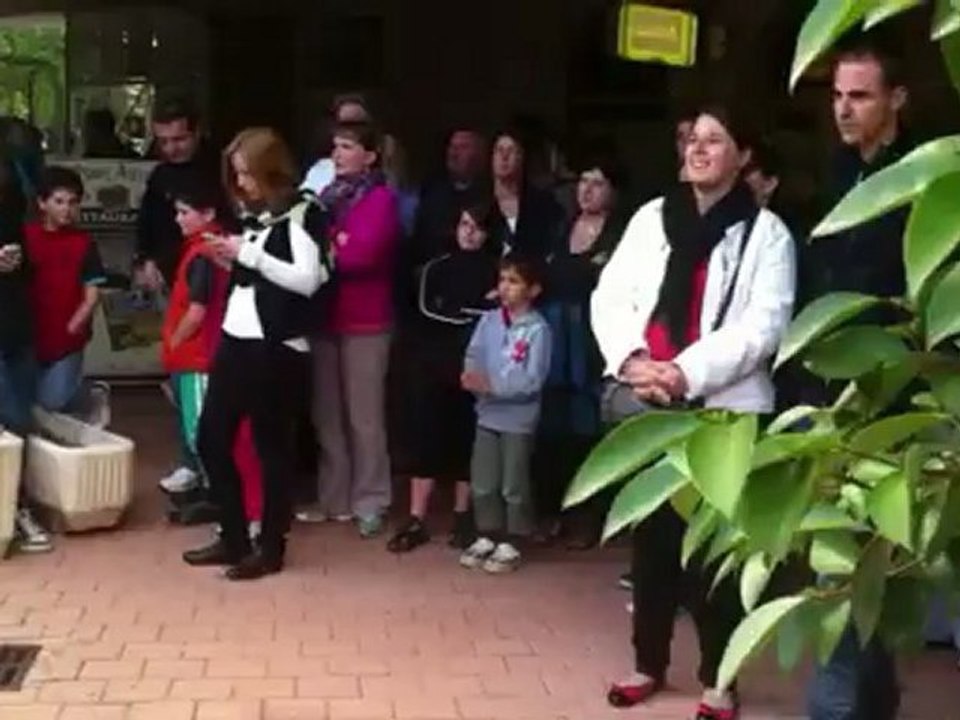 La Roche-sur-Yon Fête de la  Musique