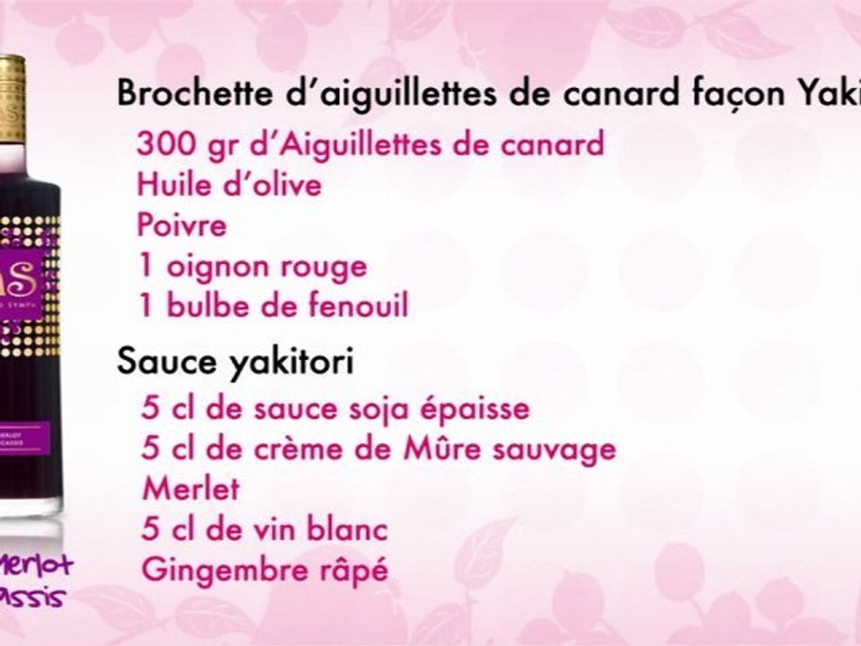 APERO SYMPA - BROCHETTE D'AIGUILLETTES DE CANARD FACON YAKITORI + MERLOT CASSIS