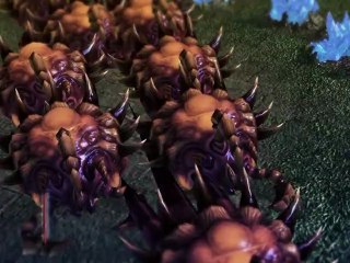 Trailer MSI Pro Cup #11