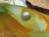 Pearl Jewelry - Making Sure You Get Quality Pearls -