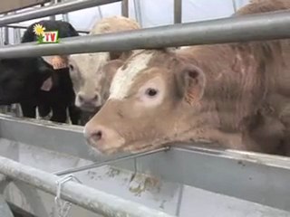 JT agri85TV 22 juin 2012