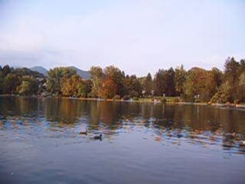 BLED