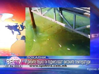 TV SPEKTRA VESTI 22.06