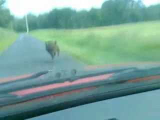 Vidéo0023