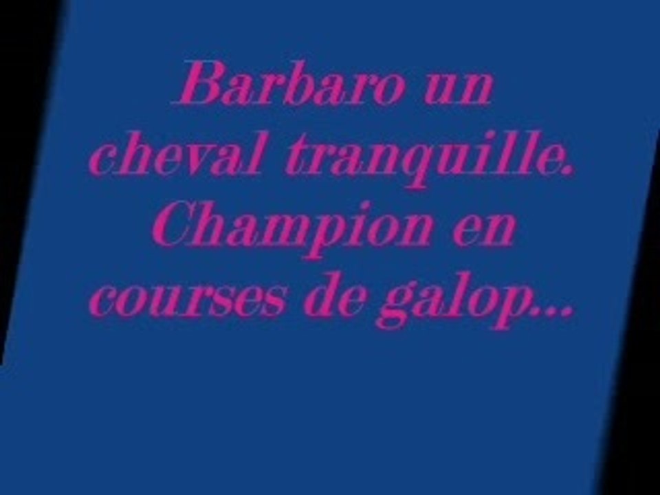 Barbaro le cheval miraculé