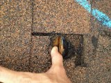 Hail Damage Repair for Roof and Siding ASAP RainTight Dallas Contractors