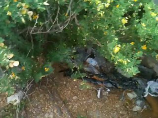 bunker cassis plage savoyan