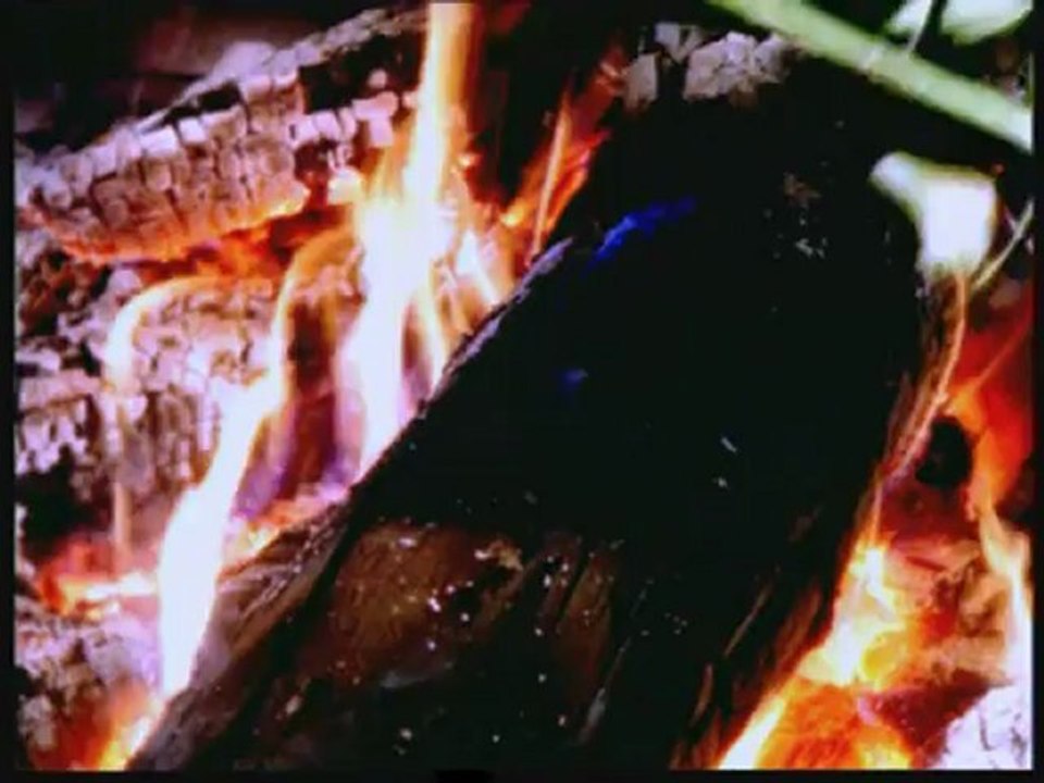 Muazzez Ersoy - Güz Gülleri