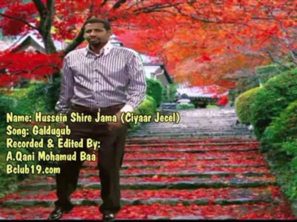 Hussein Shire - Galdugub 2011 sax
