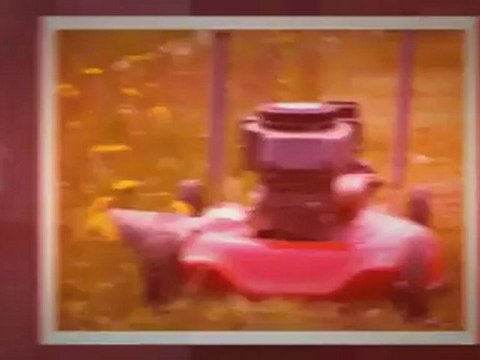 Benny's SVP Landscaping - (516)520-4695