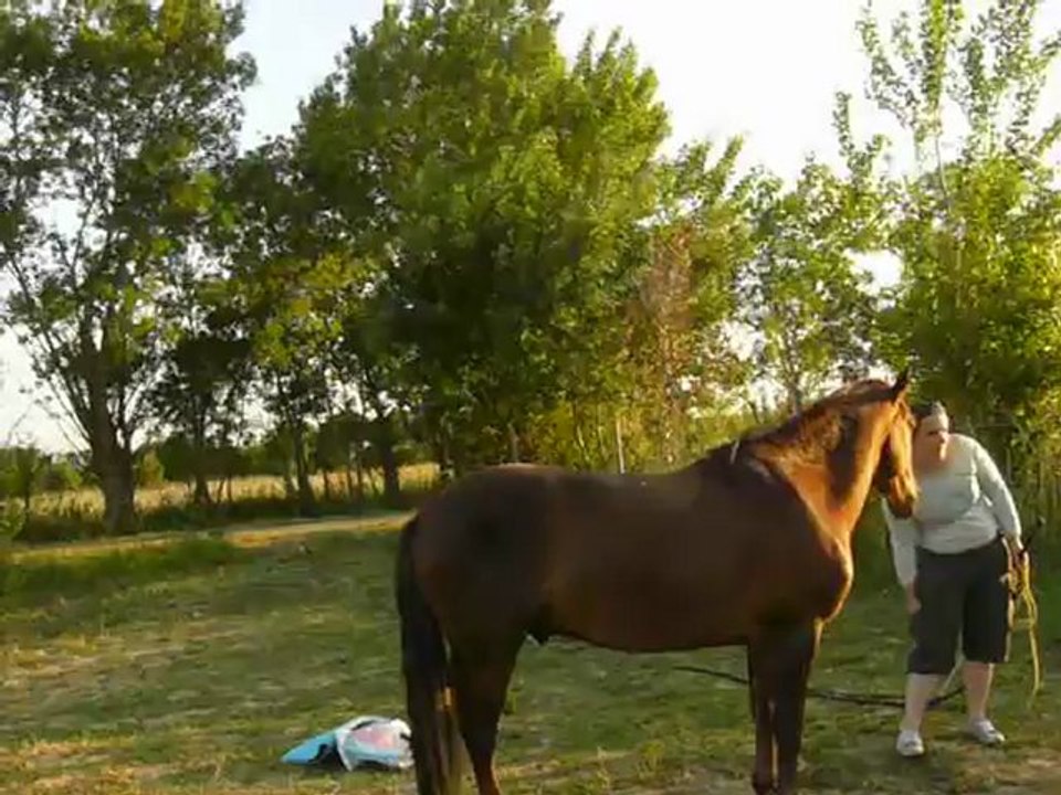 Uto: 3ème séance bis