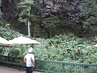 boat trip to Fern Grotto