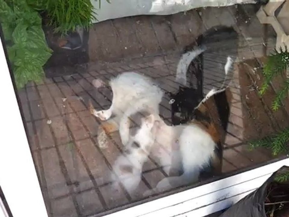 à méditer l' hygiène naturelle