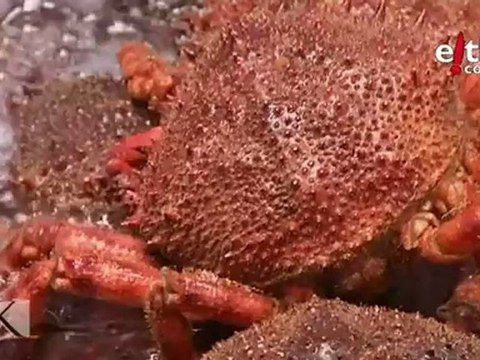 Cristina Berasategi, castores, maquetas... Kresala, capitulo 21