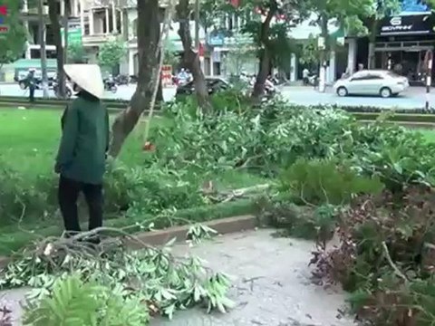 TP Vinh: Chặt tỉa cây xanh trước mùa mưa bão