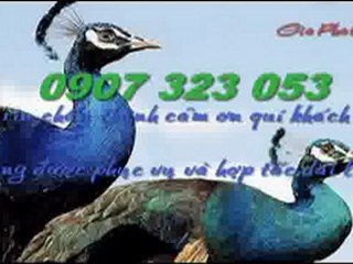 Cải tạo,sửa nhà tại quận go vap call 0907 323 053