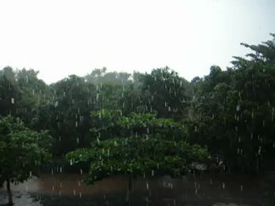 Rainy Season, le come back!