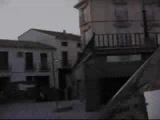 Samu y Neko entrenamientos-