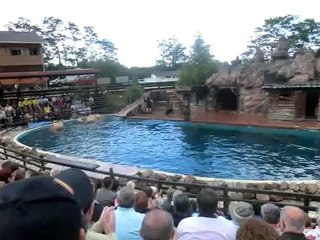 Parque Natural y Santander 2-6-2011