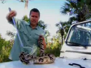 TV Promo: Survival Tips