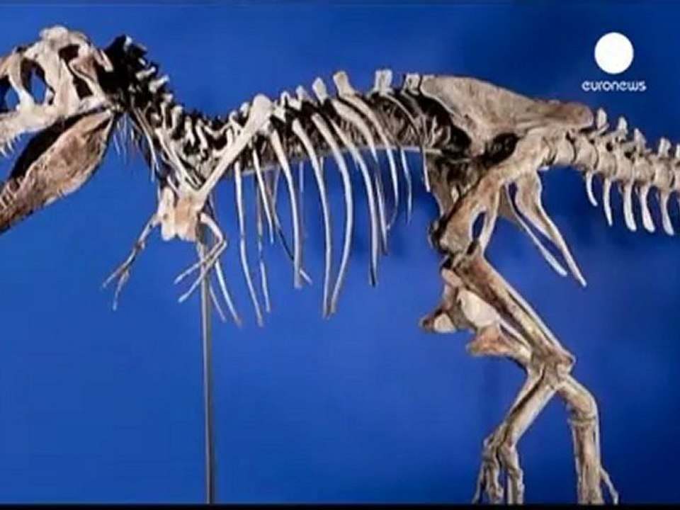 Dinosaur skeleton wanted by Mongolia seized in US