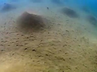 Bolygónk a Föld - David Attenborough 3/11