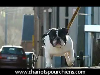 bill avec son chariot