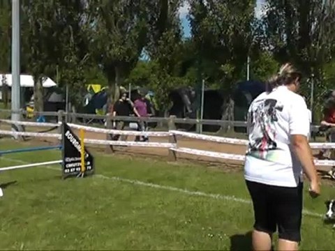 Concours d'agility Ham Dixie Jumping +