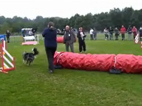 Championnat de France d'agility Panazol Dixie Manche 2 JUMPING
