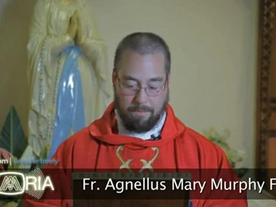 Jun 22 - Homily: Sts. John Fisher and Thomas More - Examples of Achievement