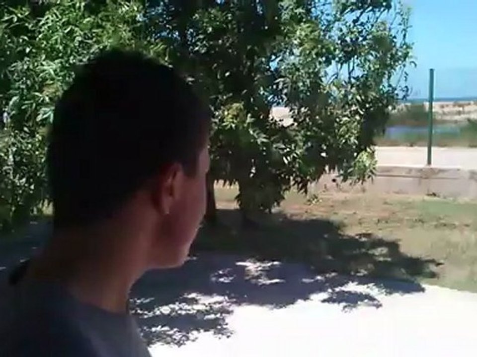 ceylan ateş vs sefa ankaz ft kat deluna