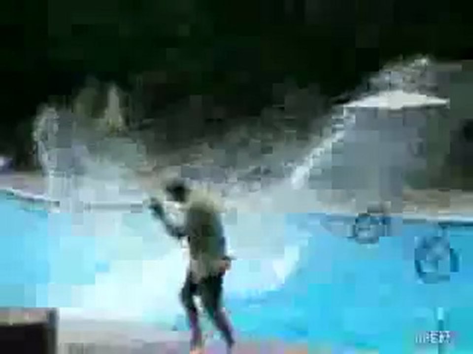 Mit dem Fahrrad übern Pool springen
