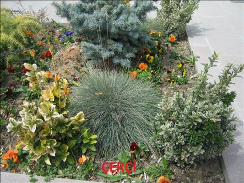 BABALARDAN OĞULLARINA NASİHAT