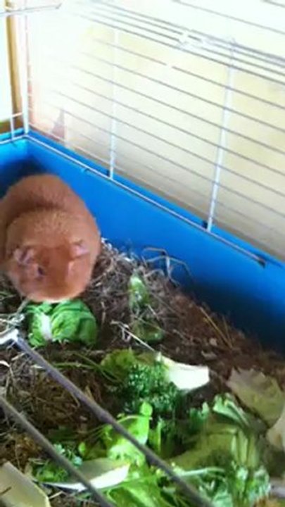 Mes 2 grosses mémères