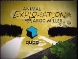 qubo animal exploration with jarod miller snapping turtle commercial