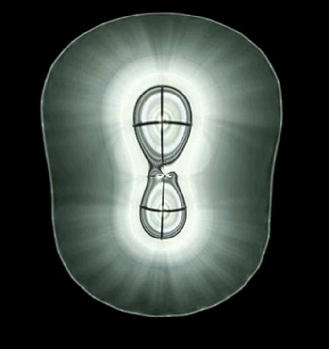 Don't Stop Hip Hop by S.M.L