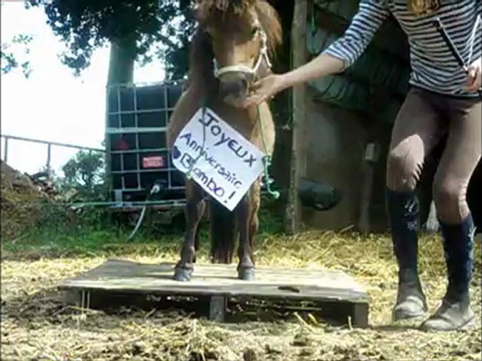 Biombo, progrès.♥