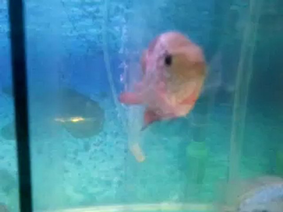 video-2012-06-23-21-03-46