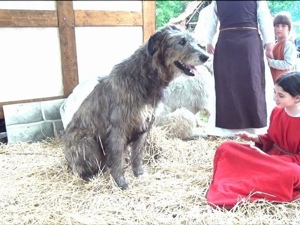 big dog and little girl