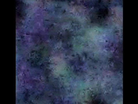 Fantôme apparition de deux silhouettes, une tête de femme et de chat le 27 12 2009