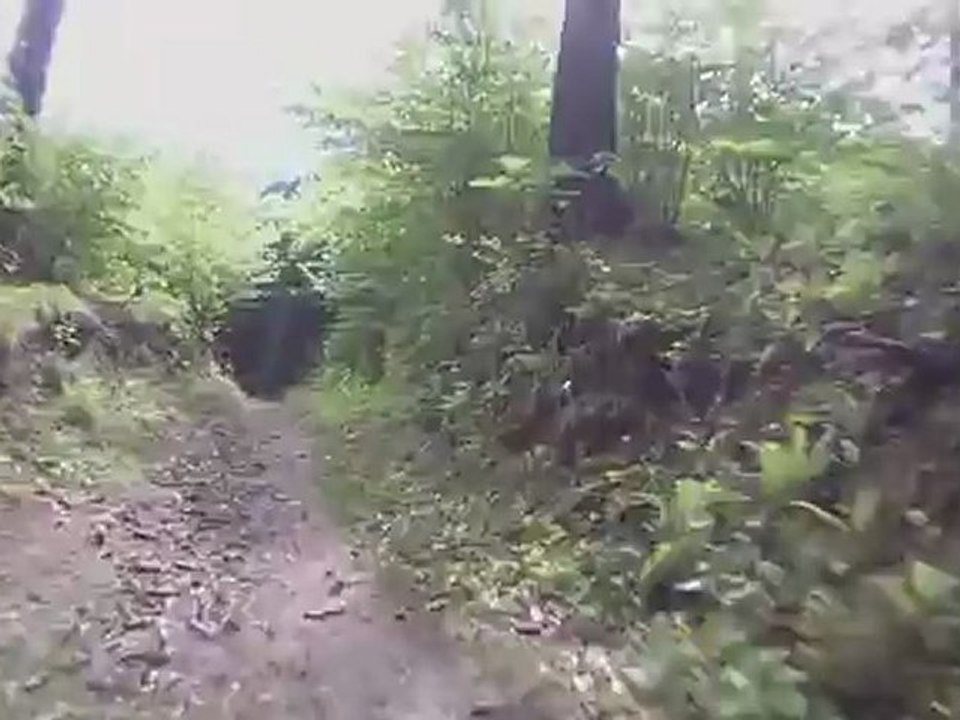 Niederung Trail2  2012