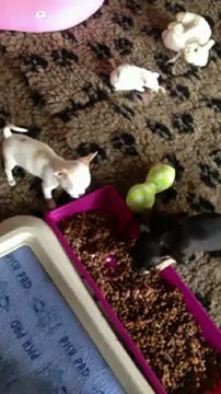 Holly and co 6 semaines 007